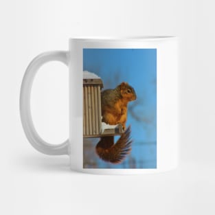 FOX TAIL SQUIRREL Mug